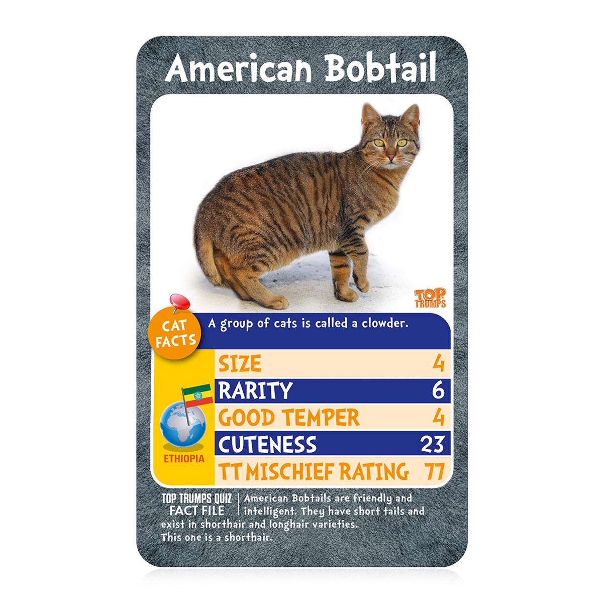 Cats Top Trumps Card Game