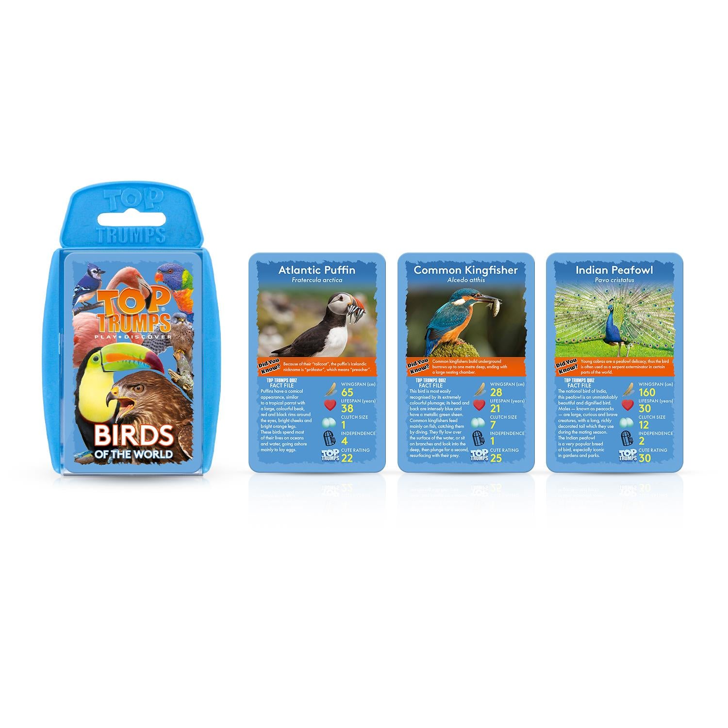 Birds Top Trumps Card Game