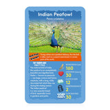 Birds Top Trumps Card Game