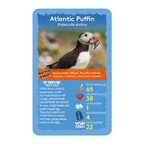 Birds Top Trumps Card Game