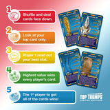 Ancient Egypt 'Tutankhamun and the Golden Age of the Pharaohs' Top Trumps Limited Edition Card Game