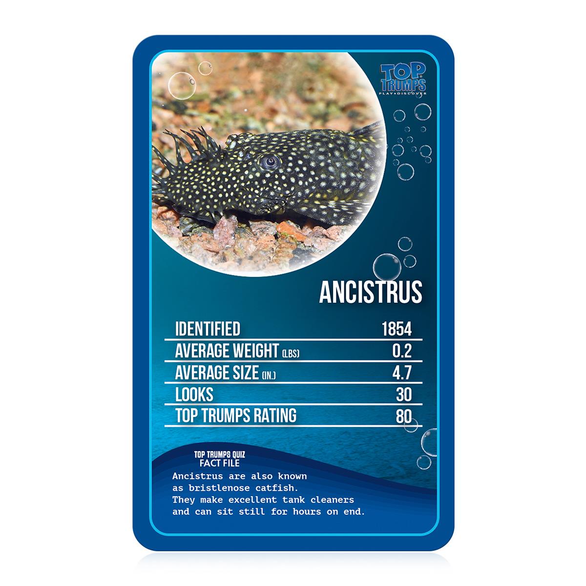 Freshwater Fish Top Trumps Card Game