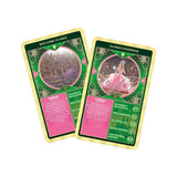 Wicked Top Trumps Card Game