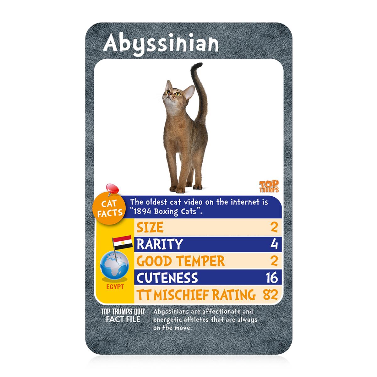 Cats Top Trumps Card Game