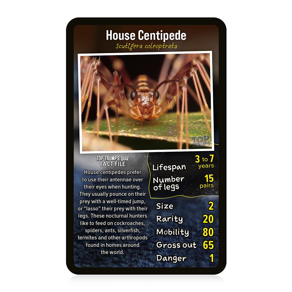 Creepy Crawlies Top Trumps Card Game