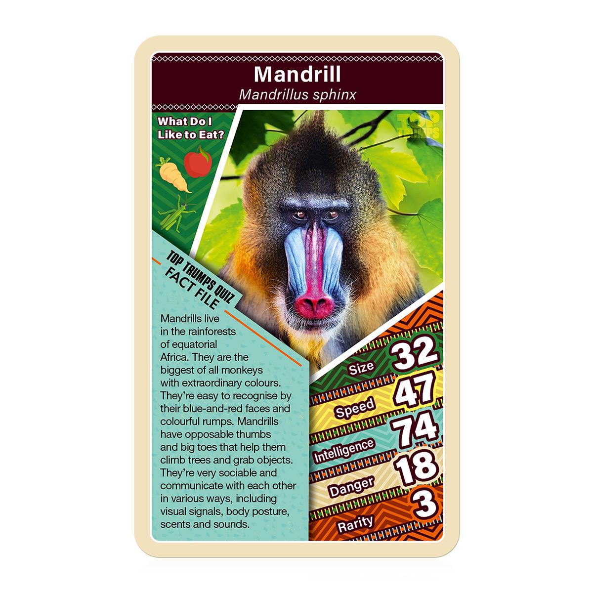 African Wildlife Top Trumps Card Game